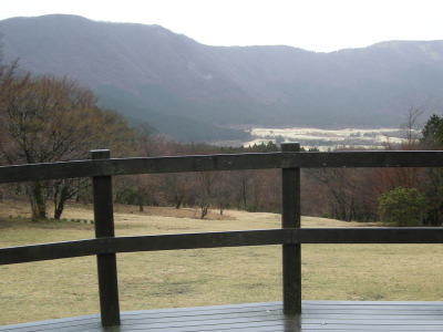 12041402.jpg