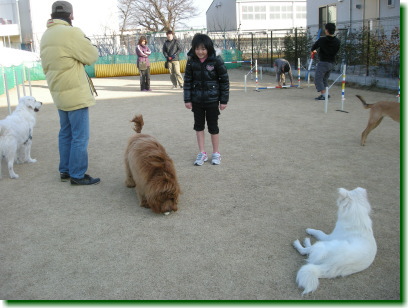 13010201.jpg