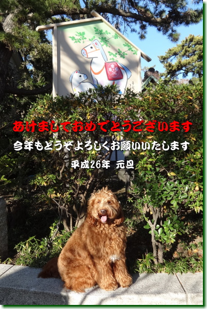 14010101.jpg
