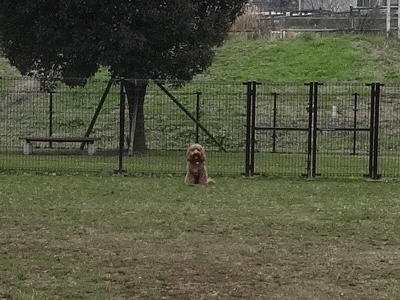 15121001.gif