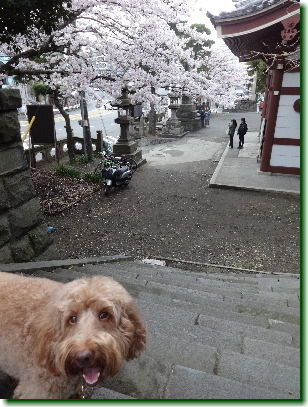 16040303.jpg