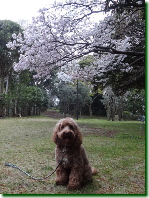 16040312.jpg