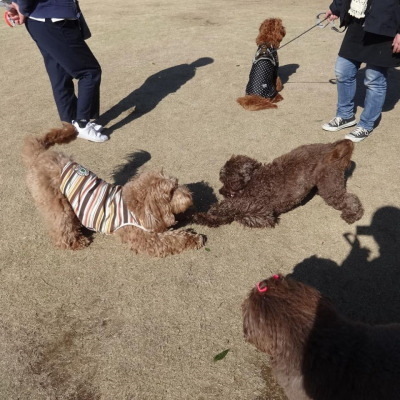 19032403.jpg