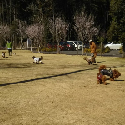 19032419.jpg