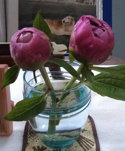 20051402.jpg