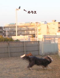 i012600.jpg