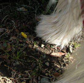 i020301.jpg