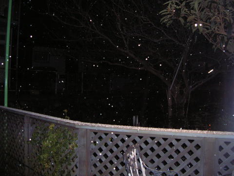 i020400.jpg