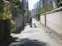 i07032000.jpg