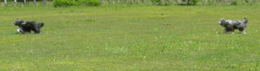 i07052625.jpg