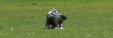 i07052627.jpg