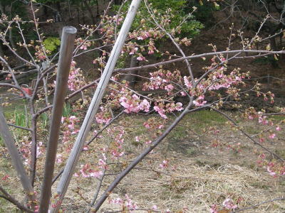 i10020100.jpg