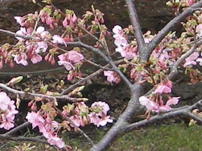 i10020101.jpg