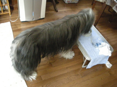 i10110701.jpg