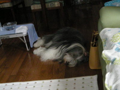 i10110705.jpg