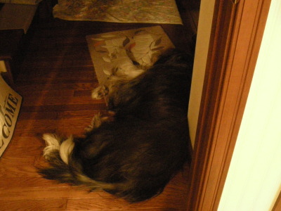 i10110711.jpg