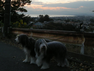 i10111106.jpg