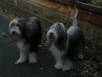 i10111108.jpg
