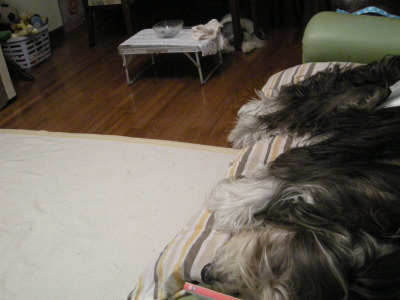 i10111109.jpg