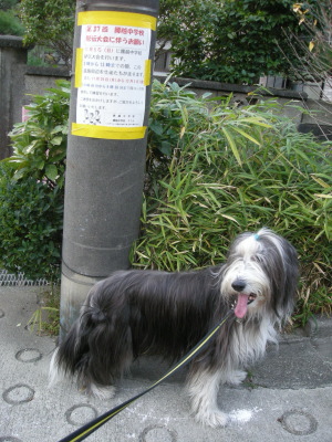 i10120101.jpg