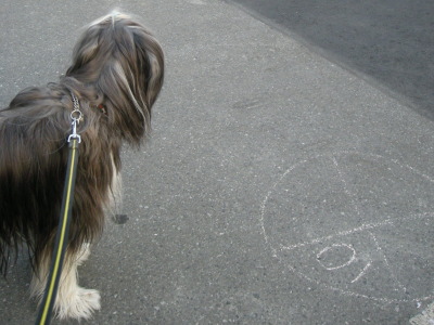 i10120102.jpg