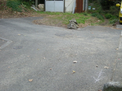 i10120104.jpg