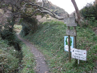 i10120105.jpg
