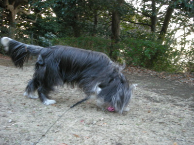 i11011402.jpg