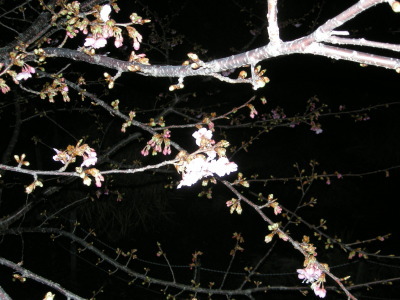 i11020701.jpg