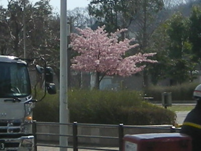 i11031401.jpg
