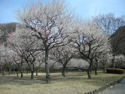 i11031402.jpg