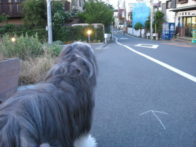 i11071001.jpg