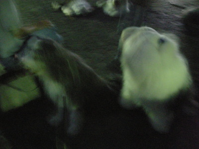 i11102401.jpg