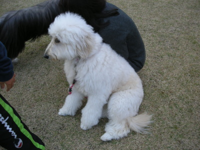 i11111201.jpg