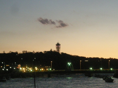 i11112402.jpg