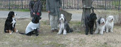 i12010801.jpg