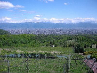 i12051213.jpg