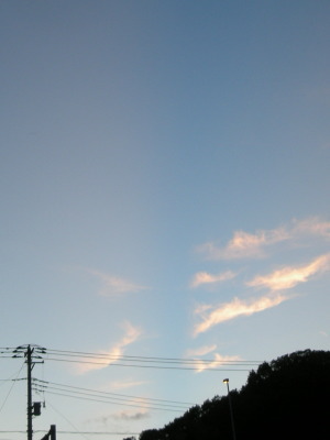 i12080302.jpg