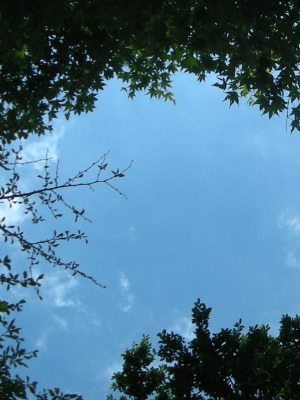 i12082505.jpg
