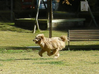 i12112502.jpg