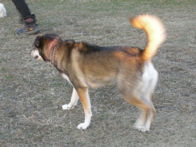 i12122004.jpg