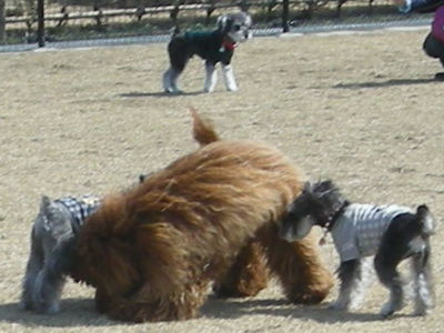 i13030201.jpg