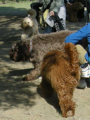 i13041333.jpg