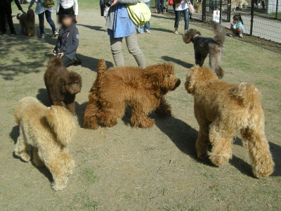 i13041336.jpg