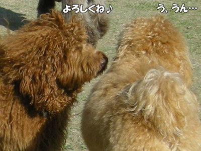 i13041338.jpg