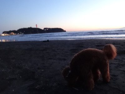 i13112101.jpg