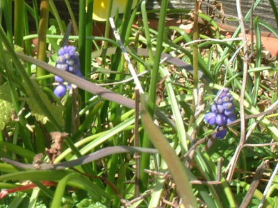 i14032401.jpg