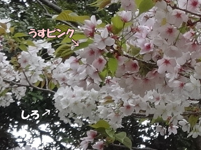 i14040202.jpg