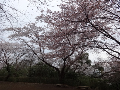 i14040206.jpg