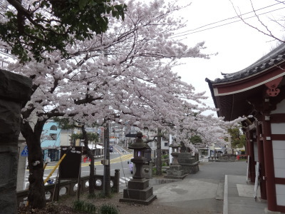 i14040207.jpg
